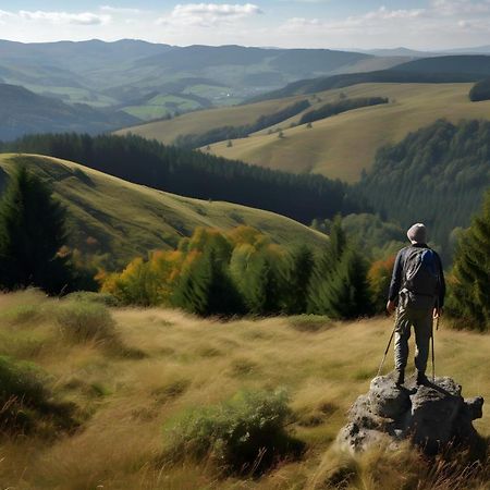 Ferienappartement Winterberg - Bikepark Um Die Ecke Экстерьер фото