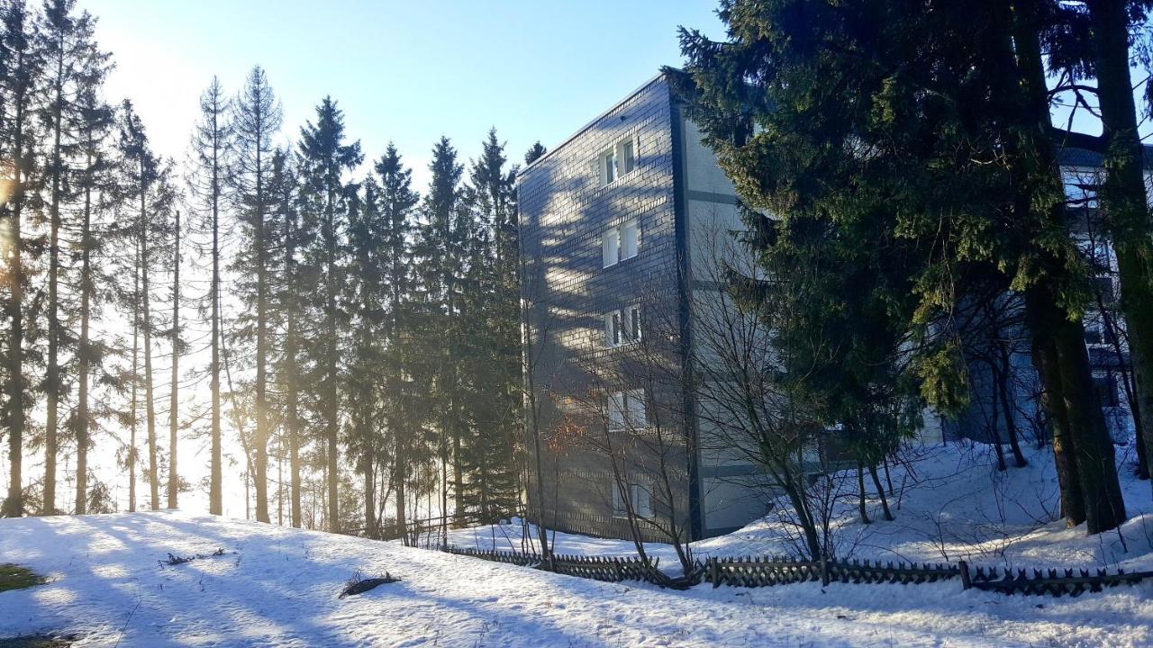 Ferienappartement Winterberg - Bikepark Um Die Ecke Экстерьер фото